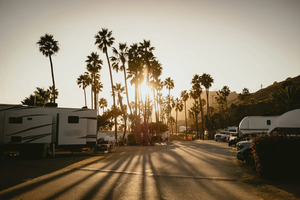 Travel trailers and fifth wheels parked under tall palm trees at a campground at sunset